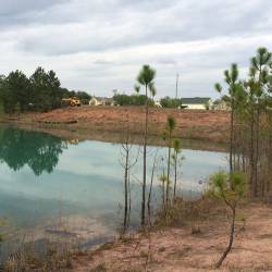 Statesboro Land and Building: April Update