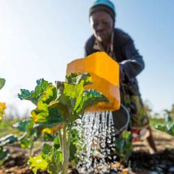 Global Outreach - Zimbabwe